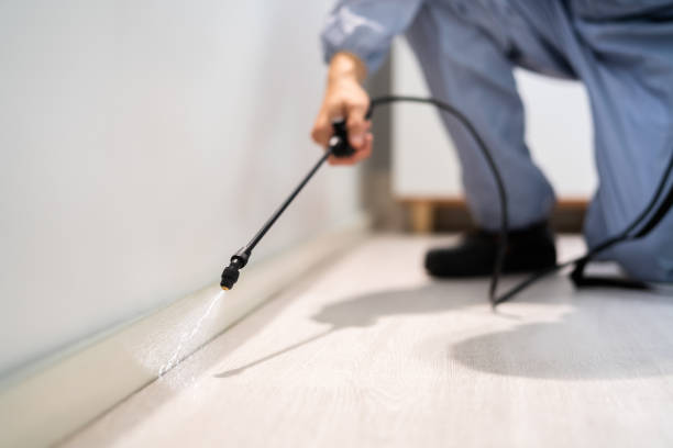 Bed Bug Pre-Treatment Preparation Assessment in Versailles